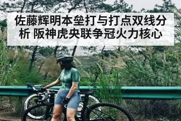 佐藤辉明本垒打与打点双线分析 阪神虎央联争冠火力核心 | KAIYUNAPP